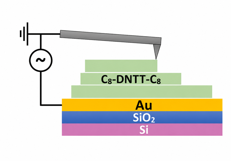 Illustration of our research into out-of-plane charge transport in organic semiconductors using conductive atomic force microscopy.