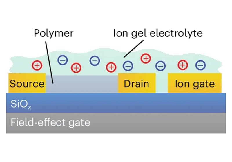 Illustration of our research into dual-gated polymer devices for independently controlling electronic and ionic charge to study non-equilibrium transport.