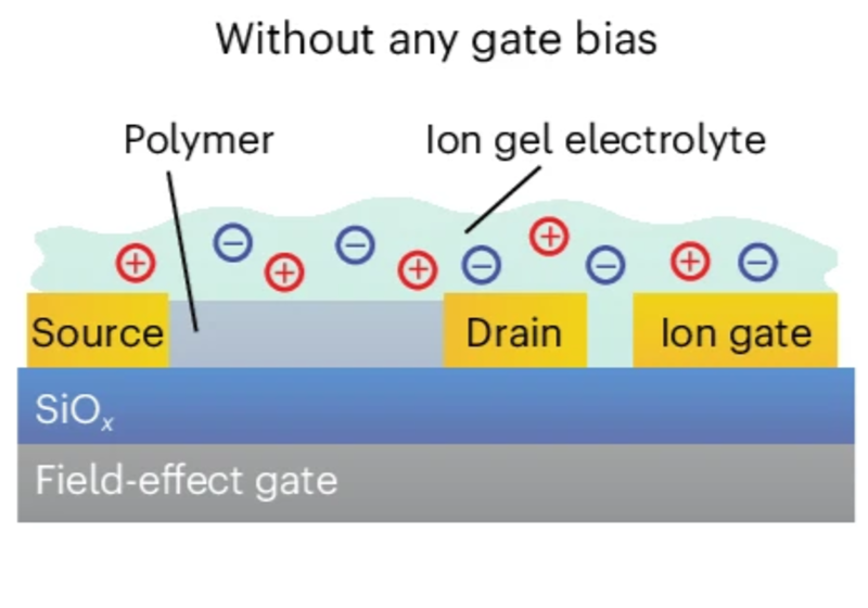 Illustration of our research into dual-gated polymer devices for independently controlling electronic and ionic charge to study non-equilibrium transport.